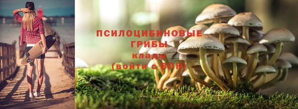 синтетический гашиш Инта