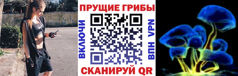 Галлюциногенные грибы Magic Shrooms  Томск 